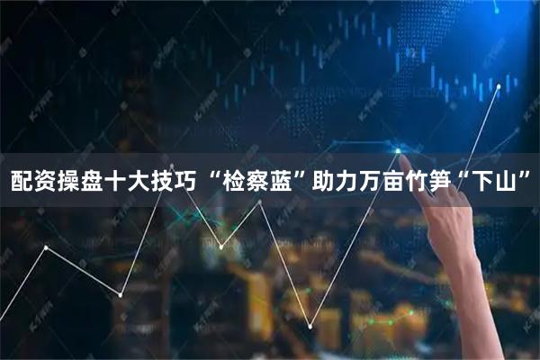 配资操盘十大技巧 “检察蓝”助力万亩竹笋“下山”