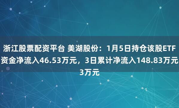 浙江股票配资平台 美湖股份：1月5日持仓该股ETF资金净流入46.53万元，3日累计净流入148.83万元